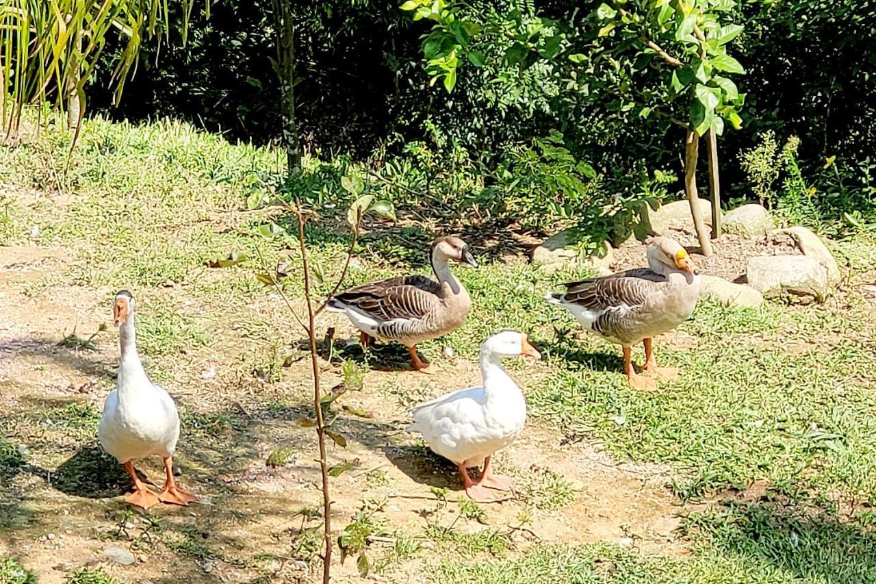 Recanto Dos Sabias - Chales Sao Bonifacio Sc Buitenkant foto