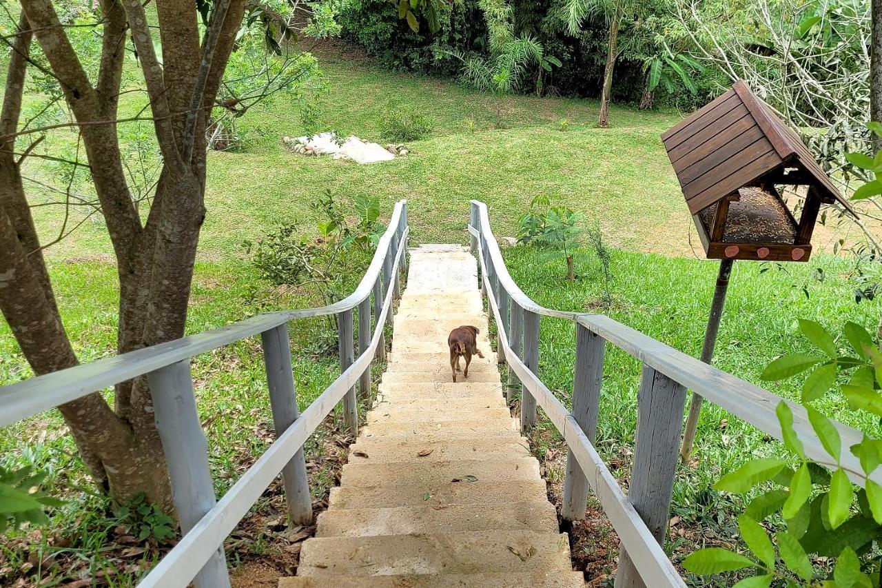 Recanto Dos Sabias - Chales Sao Bonifacio Sc Buitenkant foto